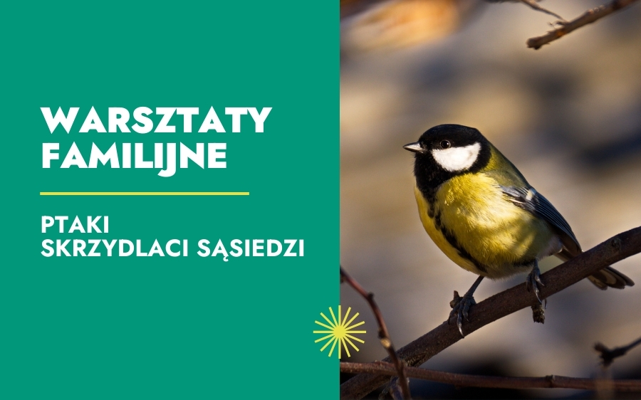 Kolorowy ptak, prawdopodobnie sikora bogatka, siedzi na gałęzi. Po lewej stronie zielona ramka zawiera polski tekst: Warsztaty Familijne. Ptaki Skrzydlaci Sąsiedzi, czyli Warsztaty Familijne. Ptaki: Skrzydlaci Sąsiedzi.